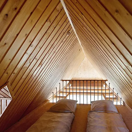 Wellness Mueller Daire Biestow